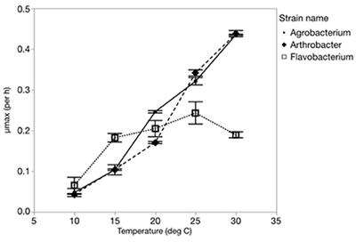 The Effects of Nutrient Imbalances and Temperature on the Biomass Stoichiometry of Freshwater Bacteria